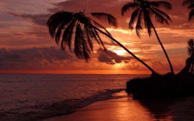 Puesta en escena: La magia detrás de cada producción de ópera