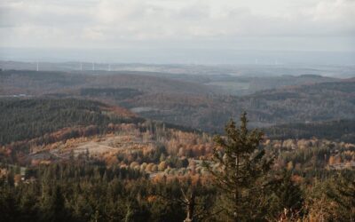 Producción de ópera: Los secretos detrás de una gran puesta en escena